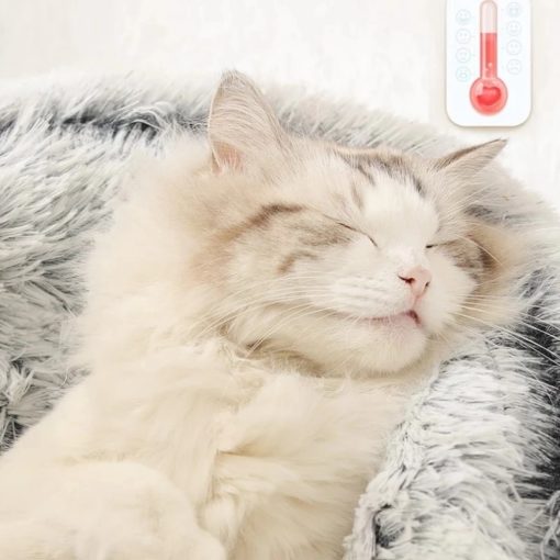 Cat Bed CatSuite Soft and Comfy Bed For Cat - Image 5