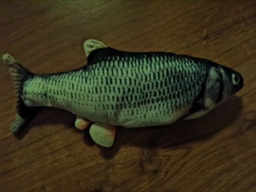 Electric Moving Cat Kicker Fish Toy With USB Charging photo review