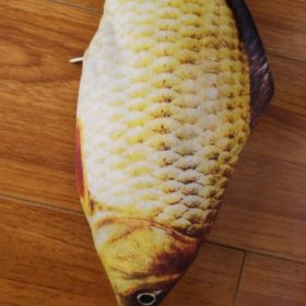 Electric Moving Cat Kicker Fish Toy With USB Charging photo review