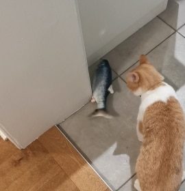 Electric Moving Cat Kicker Fish Toy With USB Charging photo review