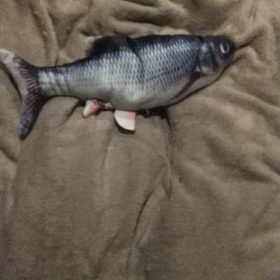 Electric Moving Cat Kicker Fish Toy With USB Charging photo review