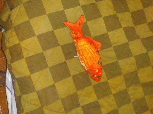 Electric Moving Cat Kicker Fish Toy With USB Charging photo review