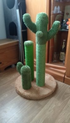 Cute Cactus Pet Cat Tree Toys photo review