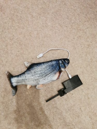 Electric Moving Cat Kicker Fish Toy With USB Charging photo review