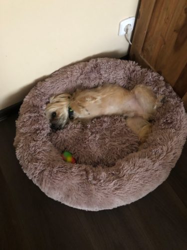 Comfy Pet Bed Calming High Stretch Soft Faux Fur For Dogs Cats photo review