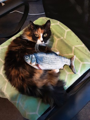 Electric Moving Cat Kicker Fish Toy With USB Charging photo review