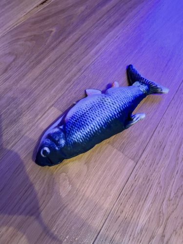 Electric Moving Cat Kicker Fish Toy With USB Charging photo review