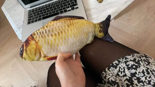 Electric Moving Cat Kicker Fish Toy With USB Charging photo review