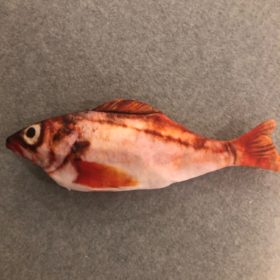 Electric Moving Cat Kicker Fish Toy With USB Charging photo review