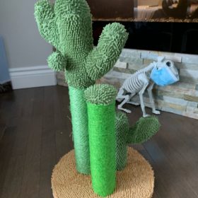 Cute Cactus Pet Cat Tree Toys photo review