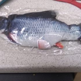 Electric Moving Cat Kicker Fish Toy With USB Charging photo review