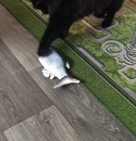 Electric Moving Cat Kicker Fish Toy With USB Charging photo review