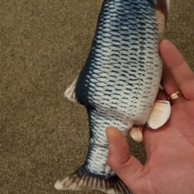 Electric Moving Cat Kicker Fish Toy With USB Charging photo review