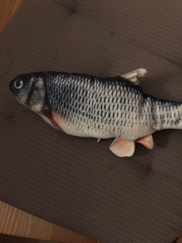 Electric Moving Cat Kicker Fish Toy With USB Charging photo review