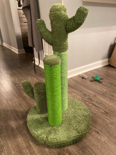 Cute Cactus Pet Cat Tree Toys photo review
