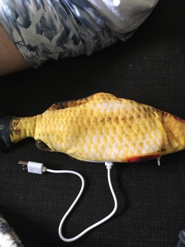 Electric Moving Cat Kicker Fish Toy With USB Charging photo review
