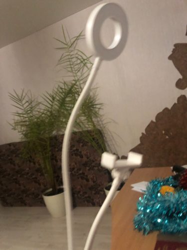 Vblogging Selfie Ring Light With Mobile Phone Holder photo review