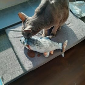 Electric Moving Cat Kicker Fish Toy With USB Charging photo review