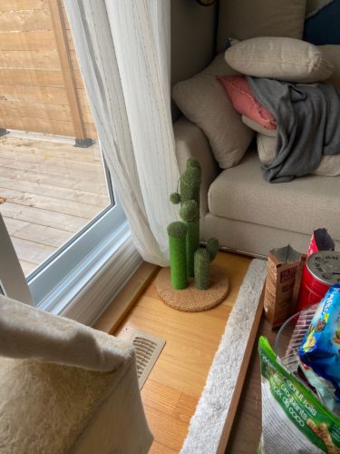 Cute Cactus Pet Cat Tree Toys photo review