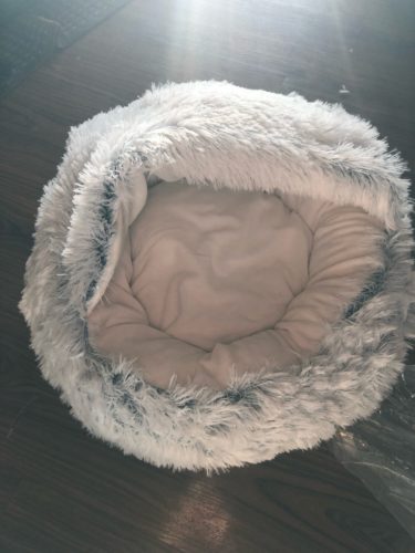Cat Bed CatSuite Soft and Comfy Bed For Cat photo review