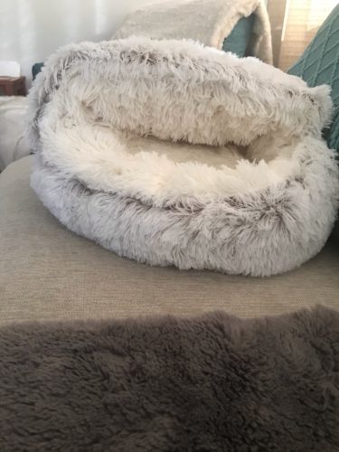 Cat Bed CatSuite Soft and Comfy Bed For Cat photo review
