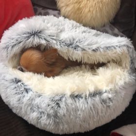Cat Bed CatSuite Soft and Comfy Bed For Cat photo review