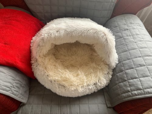 Cat Bed CatSuite Soft and Comfy Bed For Cat photo review