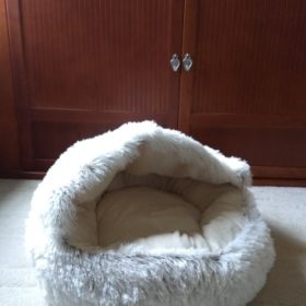 Cat Bed CatSuite Soft and Comfy Bed For Cat photo review